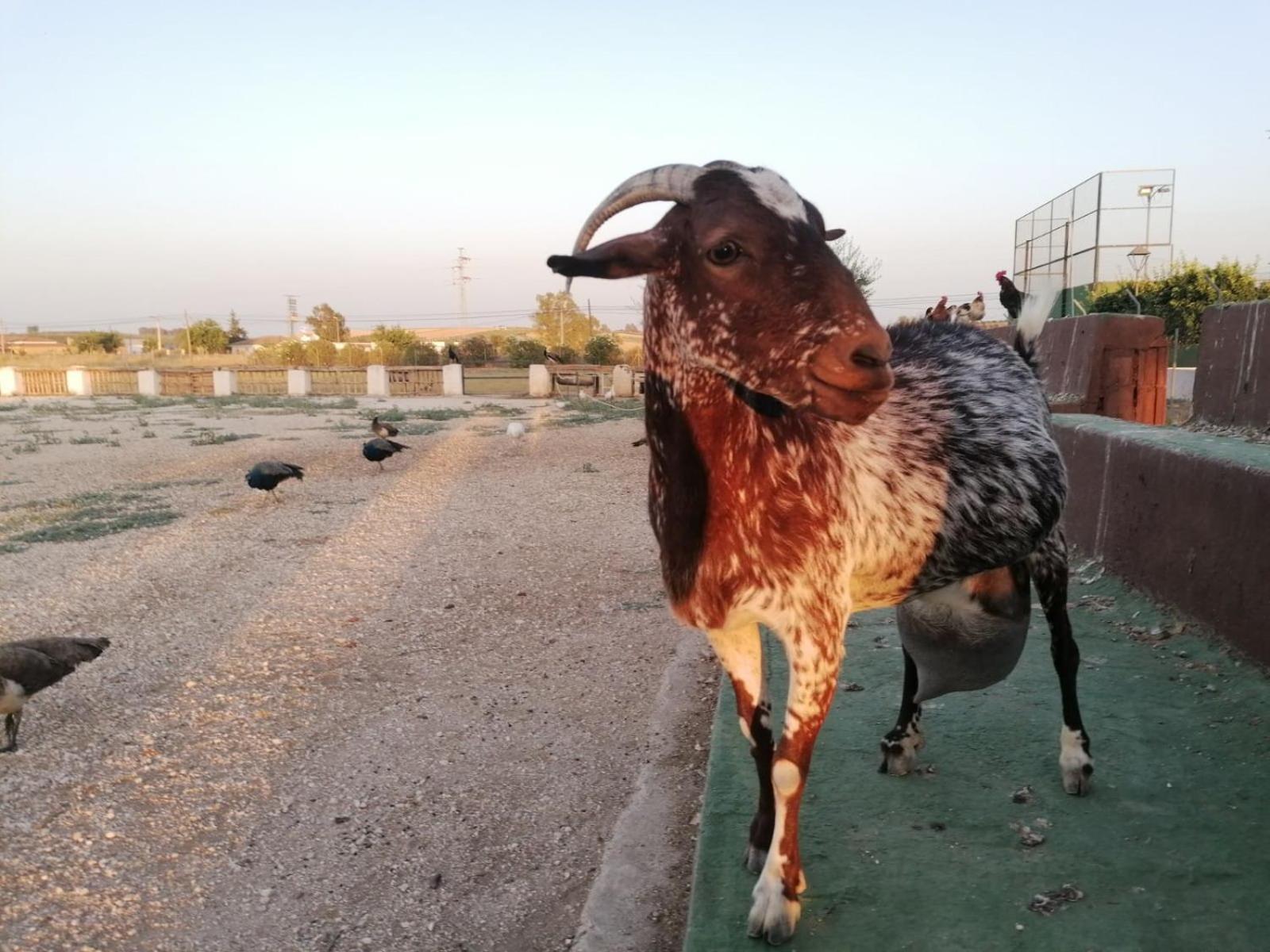 Camping Carlos III لا كارلوتا المظهر الخارجي الصورة